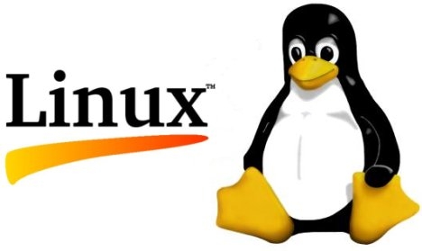 Linux Logo for Linux hosting page